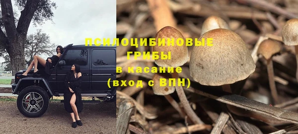 меф Богородск