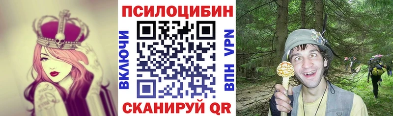 Галлюциногенные грибы Magic Shrooms  Мглин 